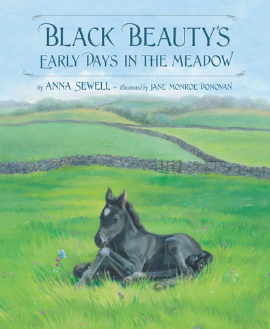 Black Beauty's Early Days in the Meadow picture book